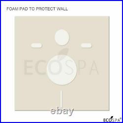 ECOSPA WC Concealed Wall Hung Toilet Cistern Frame + Dual White Eco Flush Plate