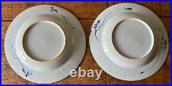 Early Qing Dynasty plates x2, Qianlong Emperor, 1700s, blue white, 8.5 inch