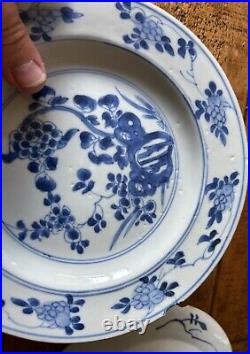 Early Qing Dynasty plates x2, Qianlong Emperor, 1700s, blue white, 8.5 inch