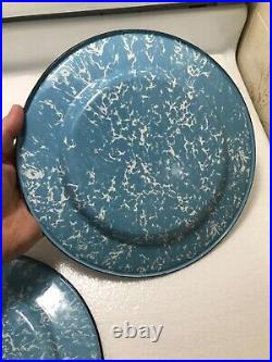 Extremely Rare Nm Blue White Dinner Plates Graniteware Enamelware Antique Unique