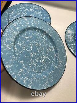 Extremely Rare Nm Blue White Dinner Plates Graniteware Enamelware Antique Unique
