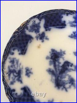 Furnivals Warwick Dinner Plate Rd No 423975 Circa 1903 Blue & White