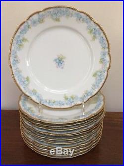 HAVILAND Limoges Schleiger 189 Blue & White Flowers Luncheon Plate Set of 12