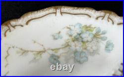 Haviland Limoges Schleiger 248a Crescent Bone Plates 6 Set Of 6 Blue Flowers
