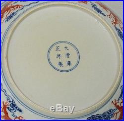 Large Chinese Blue and White Porcelain Plate With Mark M2565