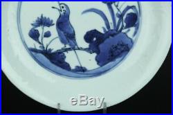 Nov143 Very Rare Kutani Aikutaniblue&white Porcelain Plate Middle Edo