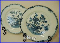 Pair of 18th century Kangxi (1680-1723) Antique Blue & White Chinese plates