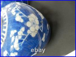 Pair of 19th century Chinese blue & white prunus ginger jars four character mark
