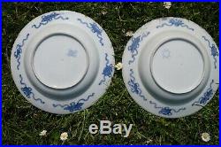 Pair of Antique Blue and White porcelain plates, flowers and birds