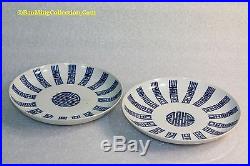 Pair of Chinese DaoGuang Era GuanYao Blue White Longevity Shou Birthday Plates