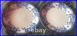 Pair vintage Furnival England 373943 English Rose Blue & White plates Edwardian