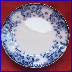 Pair vintage Furnival England 373943 English Rose Blue & White plates Edwardian