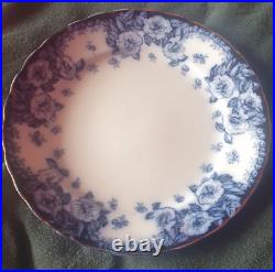 Pair vintage Furnival England 373943 English Rose Blue & White plates Edwardian