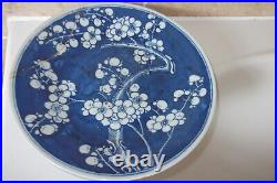 Qing Chinese Porcelain 25.3cm Blue + White Prunus Blossom Pattern Plate + Leaves