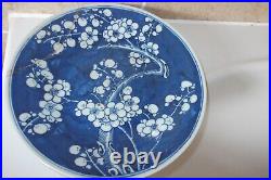 Qing Chinese Porcelain 25.3cm Blue + White Prunus Blossom Pattern Plate + Leaves