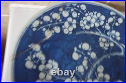 Qing Chinese Porcelain 25.3cm Blue + White Prunus Blossom Pattern Plate + Leaves