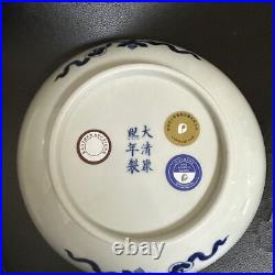 Qing Dynasty Kangxi Blue And White Ceramic Plate Chinese Jingdezhen Porcelain