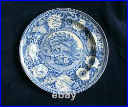 RARE BLUE & WHITE TRANSFERWARE PLATE TULIP BORDER PUNTING RIVER CHERWELL c. 1825