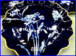 Rare Antique Coalport Bone China Collectible Cobalt Blue Plates Gold Rim