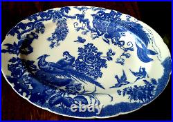Rare Royal Crown Derby Bone China Blue Aves Oval Serving Dish Collectible