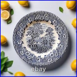 SIX Blue and White Plates/Dishes. Mismatched Blue & White Transferware Plates