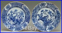 @ SUPERB @ Set Antique Chinese 18th C Porcelain Blue+White Export Plates Kangxi
