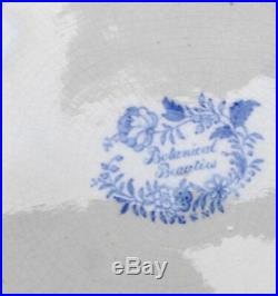 Set of 6 mid 19thC Blue & White Plates Botanical Beauties / Antique English