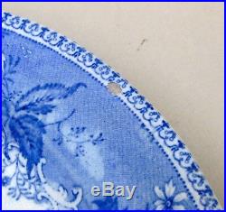 Set of 6 mid 19thC Blue & White Plates Botanical Beauties / Antique English