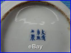 Small Antique Chinese blue and white dish/plate, Kangxi mark