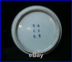 Very Rare Antique Chinese Blue White Hand Painted Porcelain Plate Marks