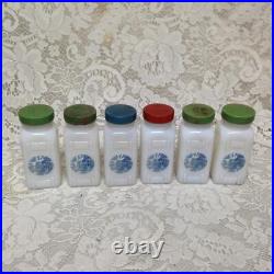 Vintage, 6-pc Blue Willow Milk Glass, Spice Jar Set with Metal Rack