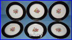 Vintage Pickard Porcelain Plates Set 6 HP Cobalt Rosenthal Bavaria Hutschenreuth