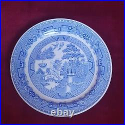 Vintage Royal Doulton Rare Hotelware Steelite Willow Pattern Oval & Round Plates