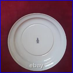 Vintage Royal Doulton Rare Hotelware Steelite Willow Pattern Oval & Round Plates