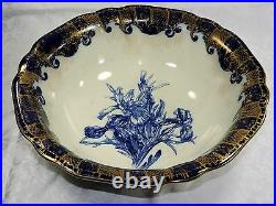 Wash Bowl Royal Doulton Iris Flow Blue Antique